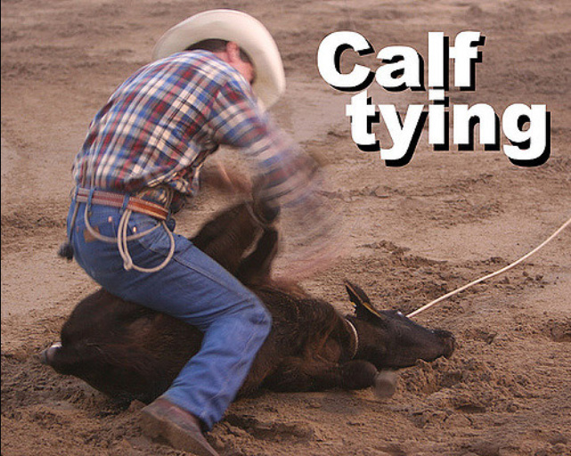 Calf Tying